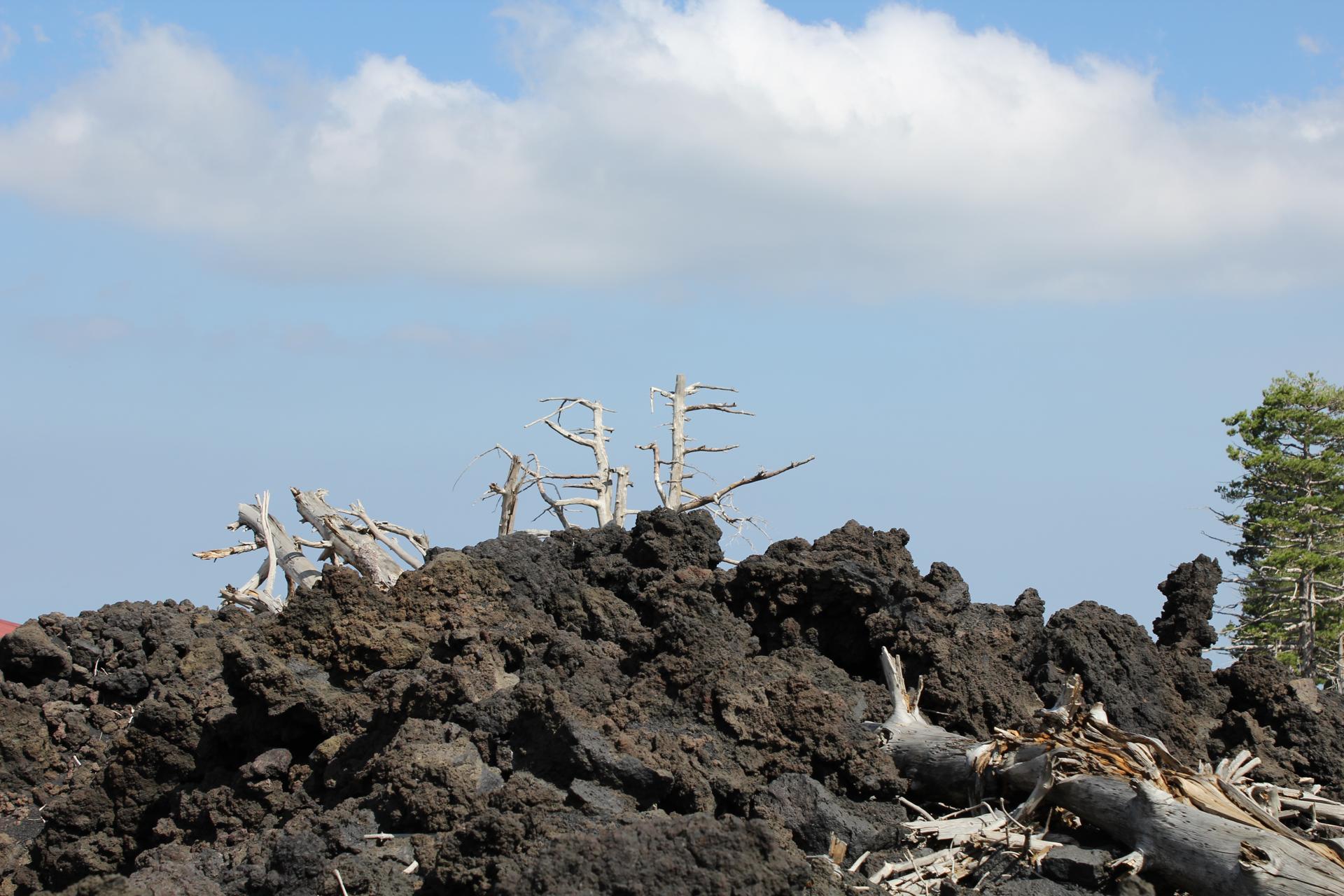 Visite guidée de l’Etna